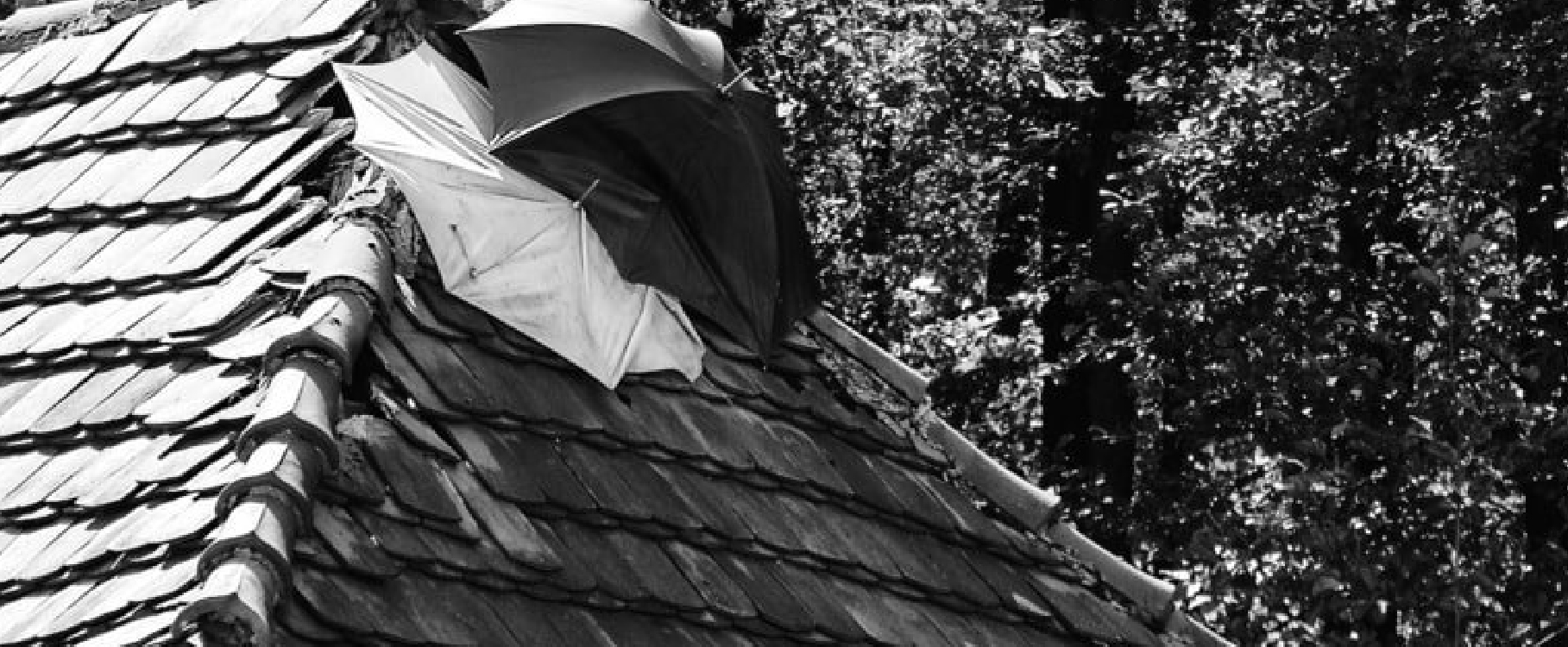 Blog 2roofing image