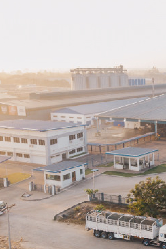Retail roofing in Lakeland