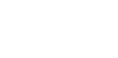 Large house Icon