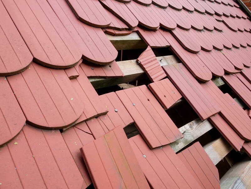 Roof ruin causes
