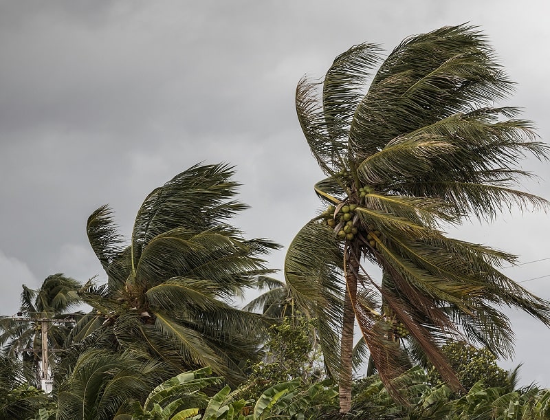 Hurricane Season Roof Protection