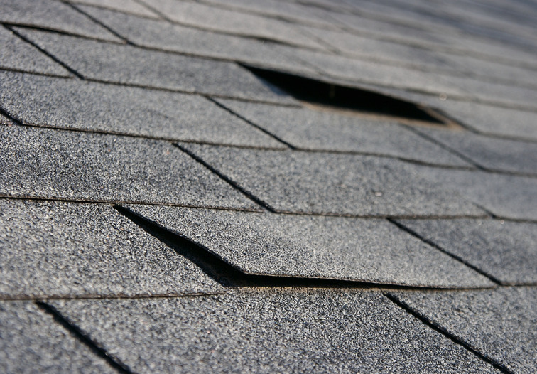 shingles needs repair