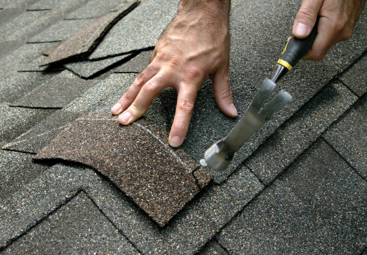Roof repairs by professional in Florida and Georgia