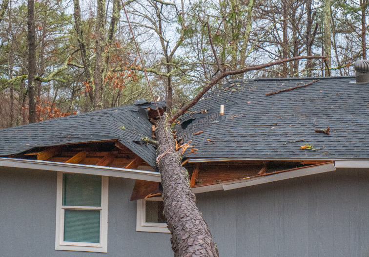 roof damaged by storm in Florida