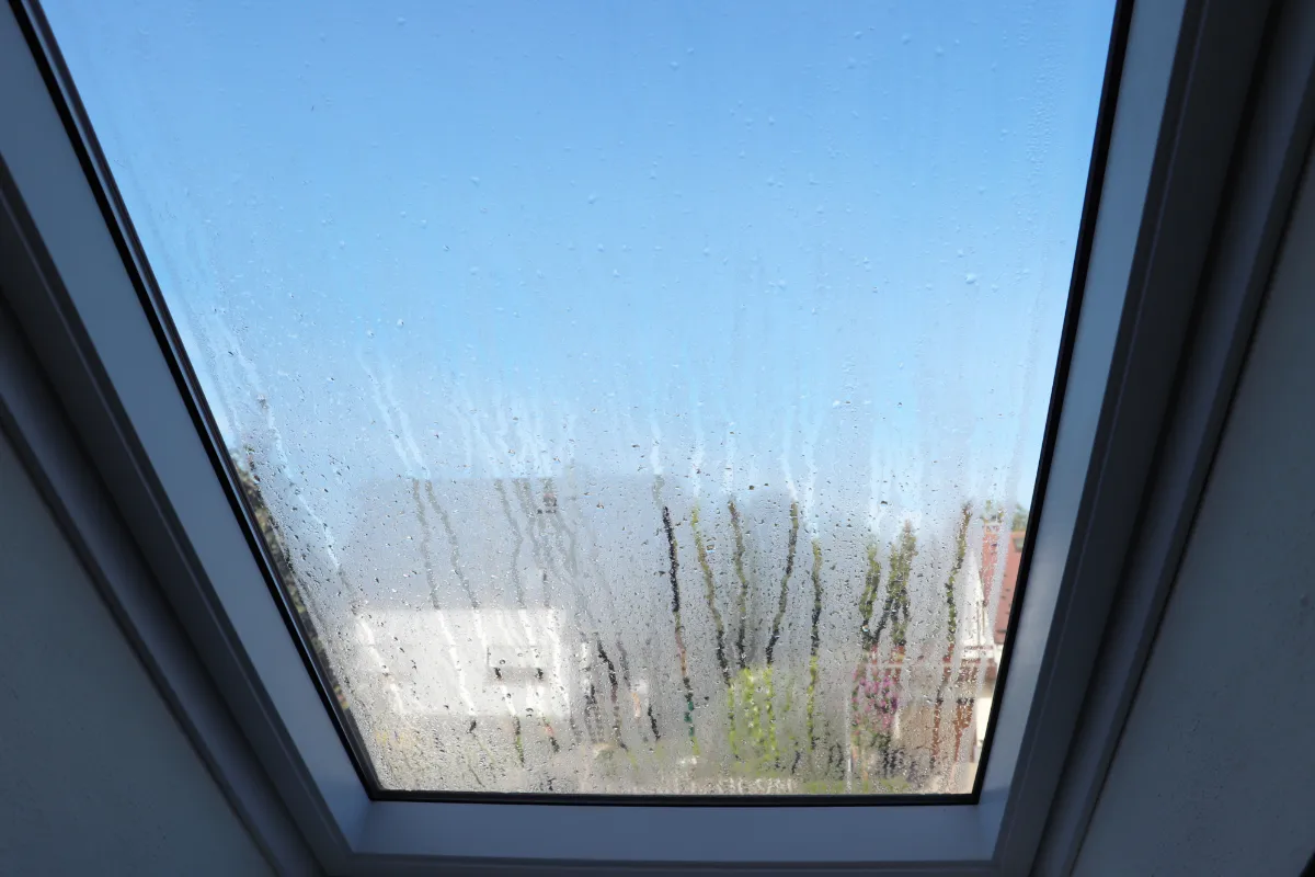 humidity impacts roof in florida