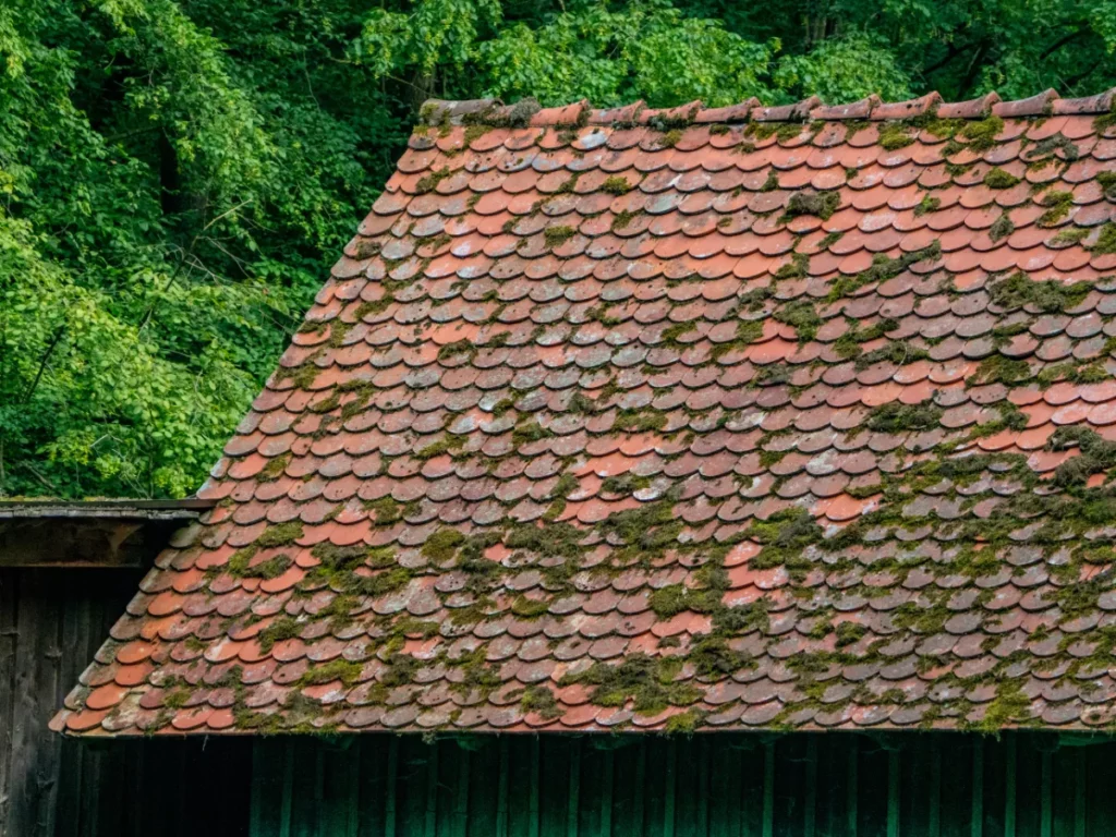 Roof affected by Florida humidity