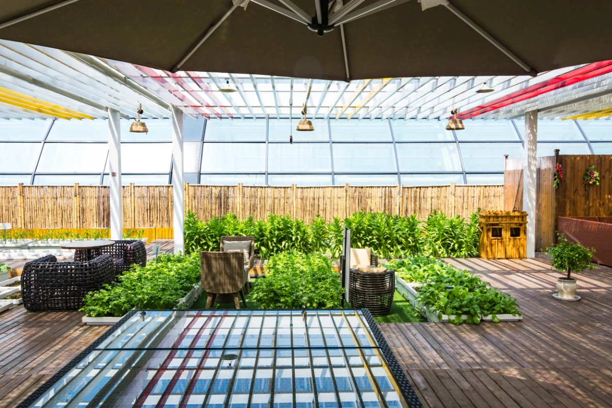rooftop garden