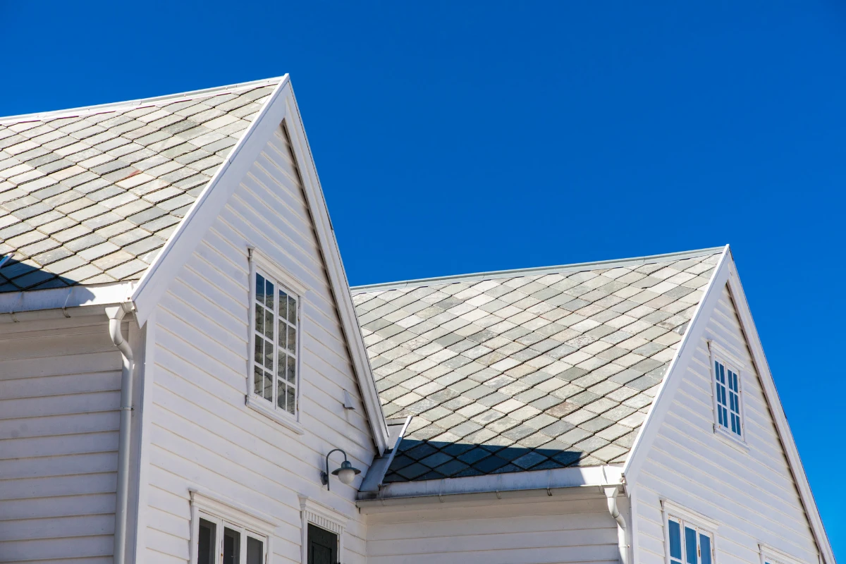 Roof Rake Revelations