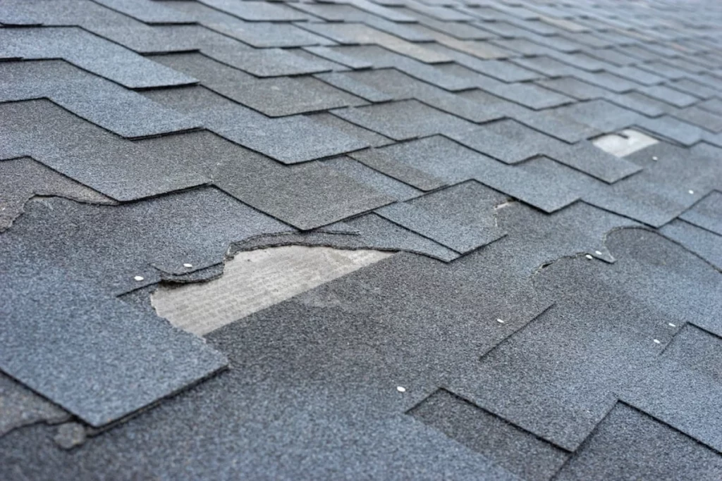 Damaged Roof Membrane or Substrate