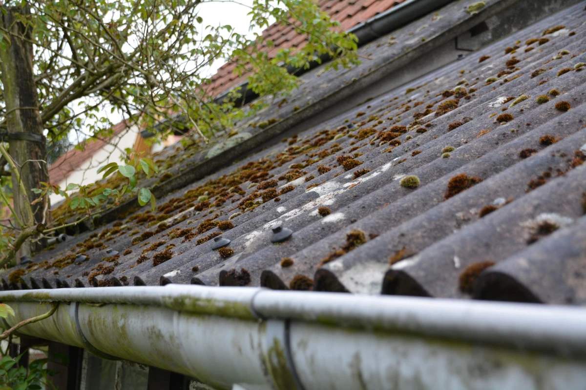 a damaged roof