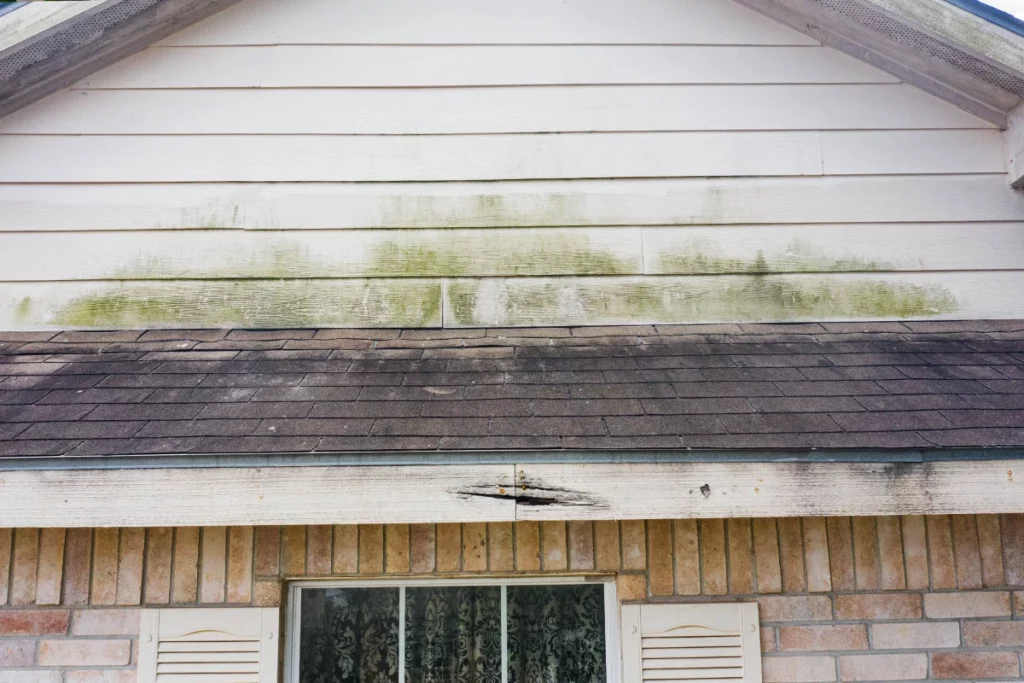 Commercial Roof Damage