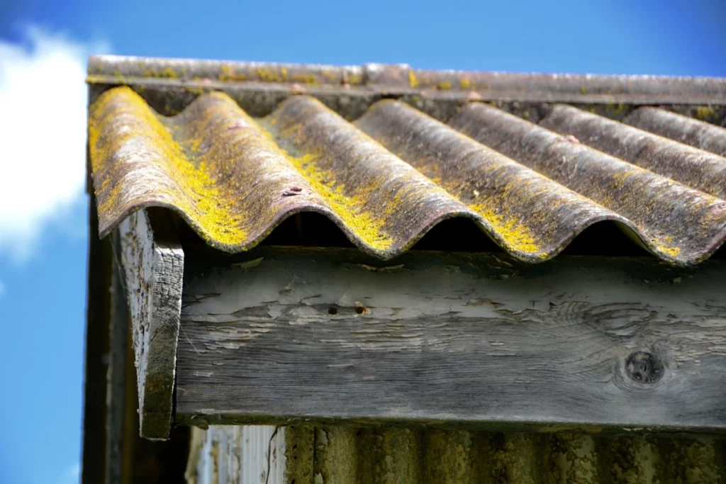 roof mold removal