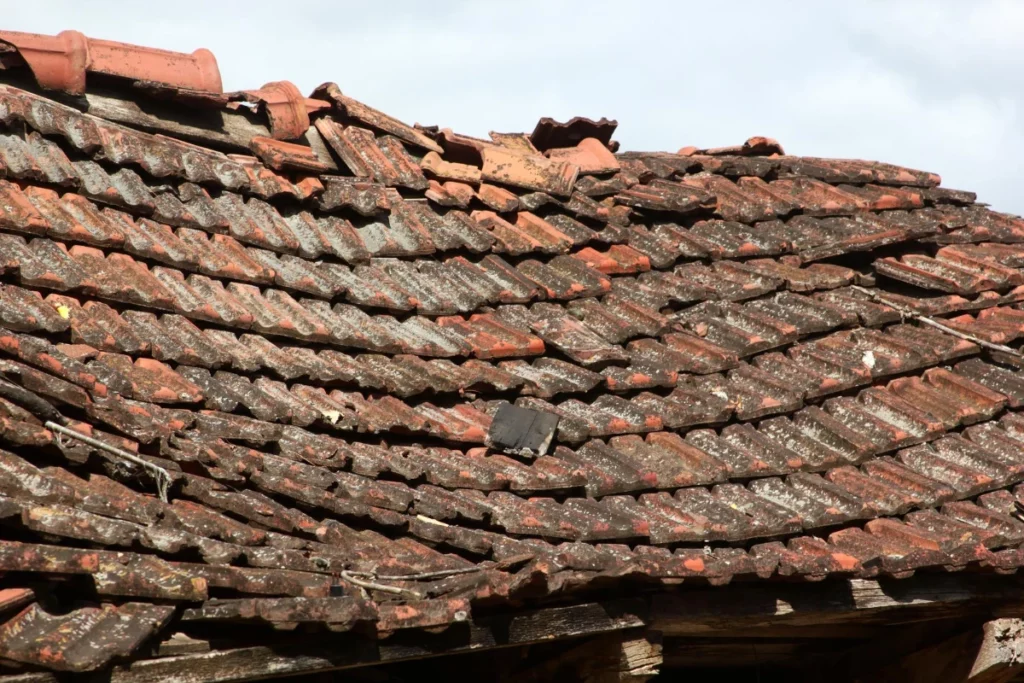 Old brick tiles on the roof