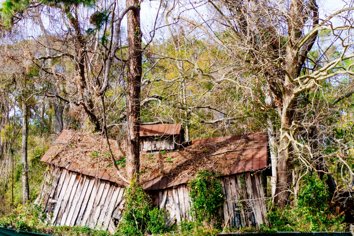 destroyed abandoned wooden structure deep inside forest