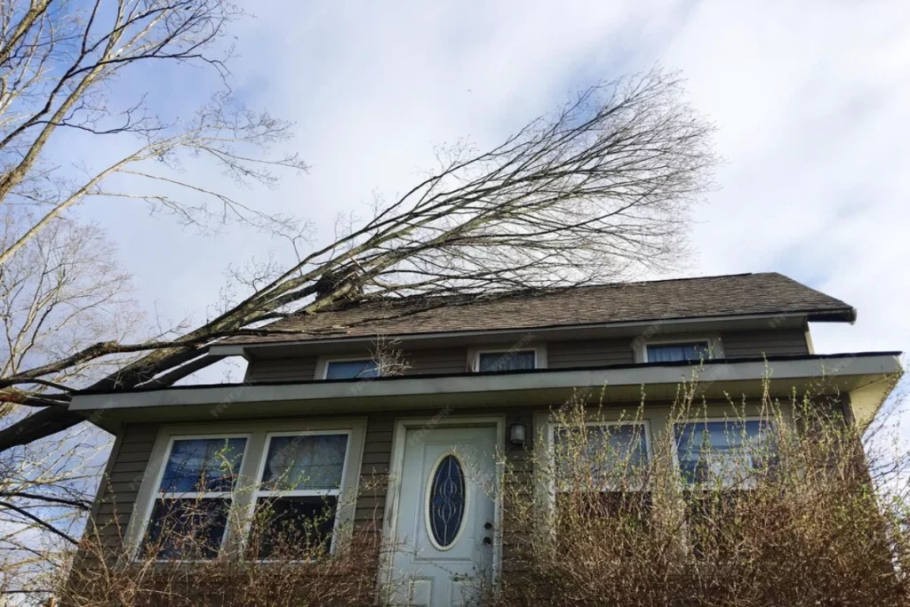 Low angle view of bare tree and building against sky