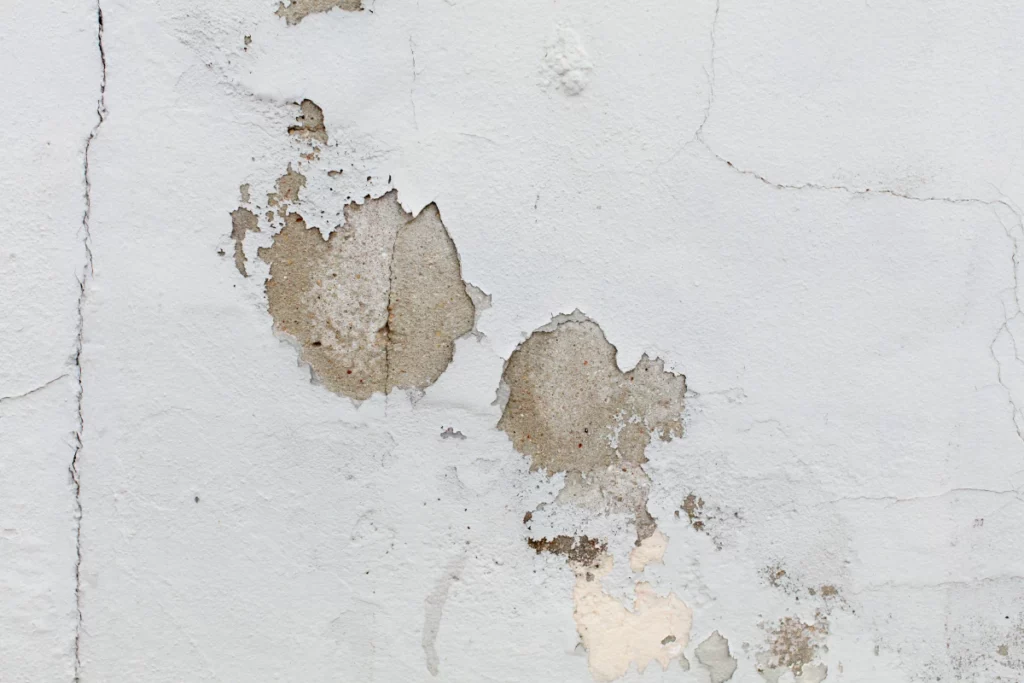Leaks and Water Damage