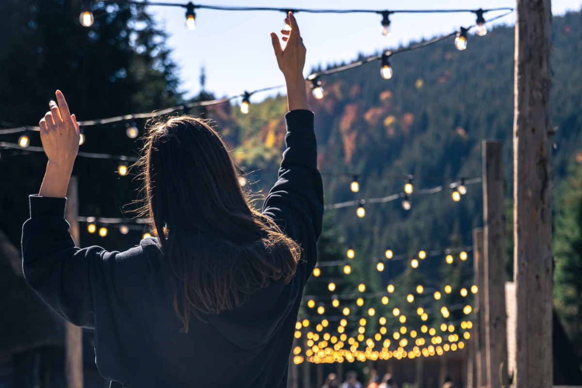 How to Take Down Christmas Lights Safely Without Damaging Your Roof