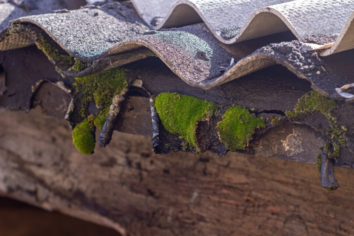 Old wooden plank beam fragment on slate wall close-up