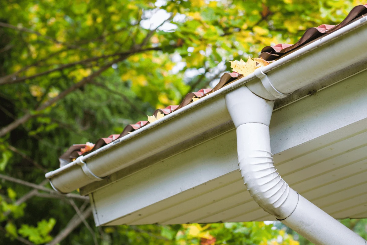 Comparative analysis of roof drains and gutters